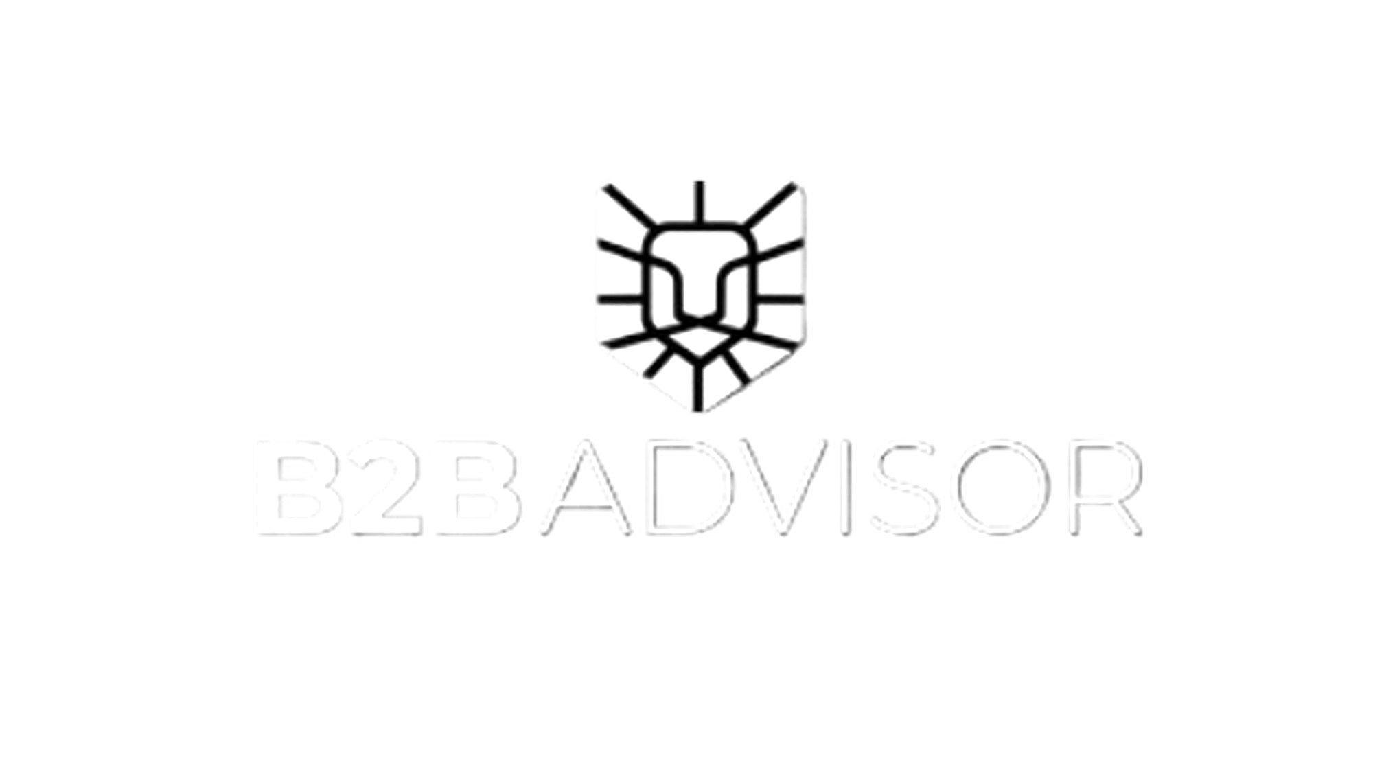 B2B Advisor